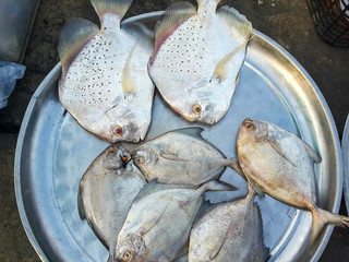 Raw fresh fish in market, seafood
