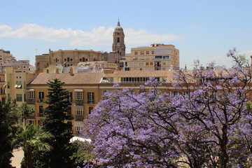 Catedral de Málaga desde la Alzacabza