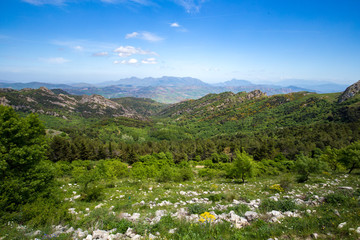 Fototapeta na wymiar Forest Hills of Ficuzza on Sicily