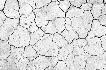 Crack soil texture background