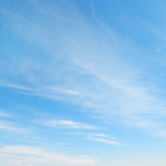 Light clouds in the sky