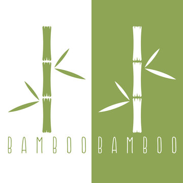 green bamboo stems and leaves vector design template
