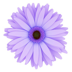 top view of purple flower isolated on white background. 3d illus