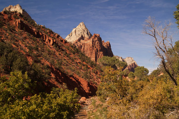 Scenic landscape of Zion national park, Utah, USA