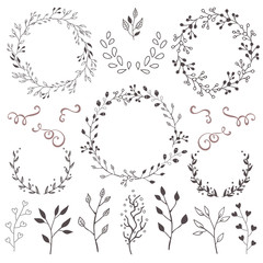 Hand Drawn Vector Floral elements
