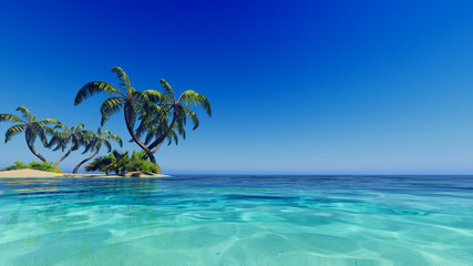 Fototapeta na wymiar Tropical blue sea palms