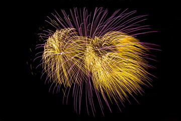 Fireworks explode glittering with dazzling results