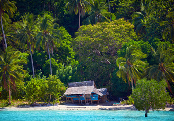 House of Robinson Crusoe. Beautiful island with blue bay and palms - obrazy, fototapety, plakaty