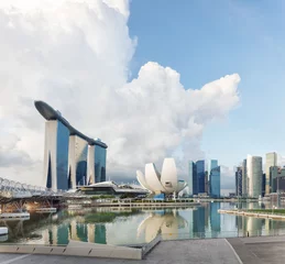 Fotobehang View of central Singapore © lena_serditova
