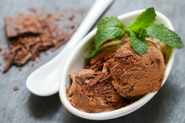 Summer dessert - chocolate ice cream with mint leaves