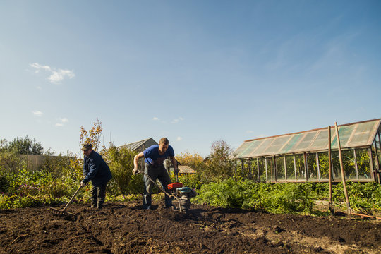 Men working in garden