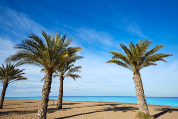 Denia Las Marinas beach palm trees in Spain