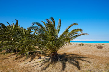 Las Marinas beach in Denia at alicante spain