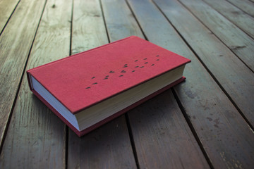 Old book on the table