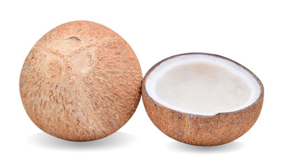 coconuts on white background
