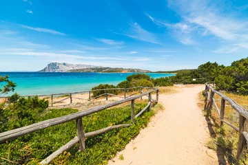 Tuinposter Afdaling naar het strand onverharde weg naar de zee op Sardinië