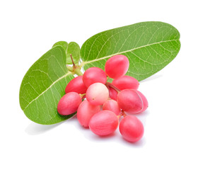 Carunda or Karonda on white background