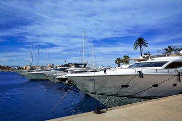 Fototapeta premium Denia port Marina in Mediterranean Spain