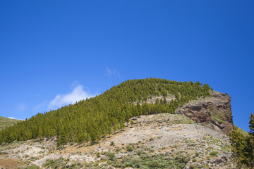 Inland Gran Canaria, Montana de Artenara