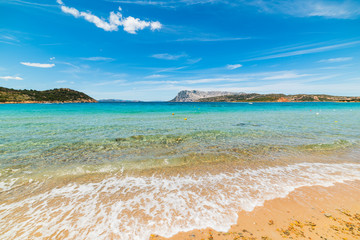 golden shore in Capo Coda Cavallo