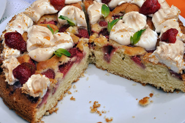 summer puddings