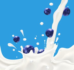 Splashing milk on blue background with falling blueberry