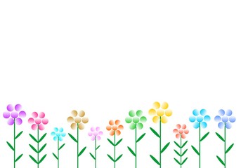 White background with colorful flowers of different colors, shapes and sizes in a row down side by side. Blossoming flowers in the meadow with green stems and green leafs