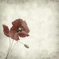 textured old paper background