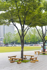 SEOUL,South Korea - MAY 24:Korea trees in city. MAY 24, 2016 in