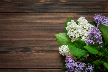 White lilac on a brown wooden background