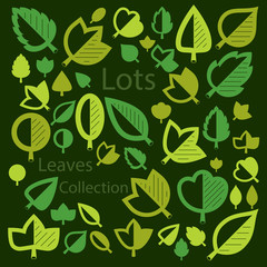 Spring tree leaves, botany and eco flat images. Vector illustrat