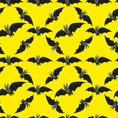 funny bat on black background