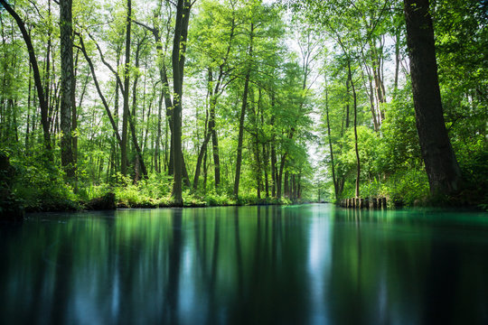 Flow line through the recreation area Spree forest - Spree Wald near Berlin in summer. Boat trip through the flow lines Spree forest
