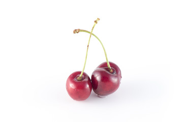 Cherries on white background
