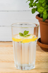 Water with lemon and mint