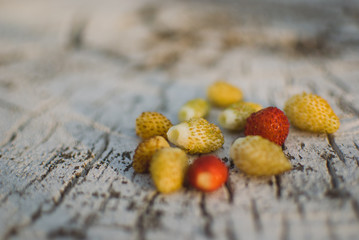 yellow and red Strawberry on the old tree stump with cracks