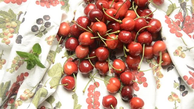சேலாப்பழம் ચેરી आलूबालू كرز Բալ Череша Ciliegia Tře&scaron;ně K&ouml;rsb&auml;r サクランボ Ciliege 樱 Cereza Cerise Вишня плод Čere&scaron;ňa plod Guindas Cherry Kirseb&aelig;r frugt Kers fruit &Kappa;&epsilon;&rho;ά&sigma;&iota; Kirsuber