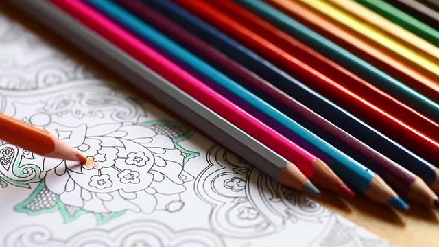 Color video of a hand holding a pencil and coloring an adult coloring book.