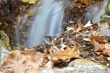 Sentiero per Montalto - Gambarie Aspromonte