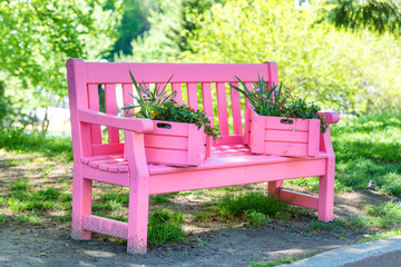 Pink bench in the green park