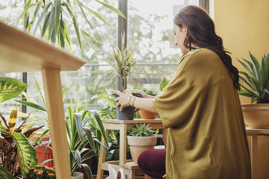 Caucasian woman holding potted plant