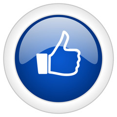 like icon, circle blue glossy internet button, web and mobile app illustration