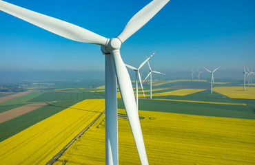 Windmills on the field