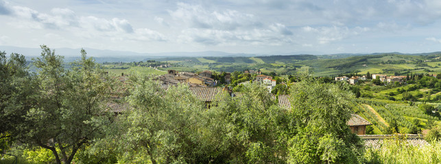 view to olive trees and tuscany landscape  in Tuscany in Italy
