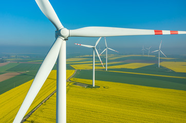 Windmills on the field