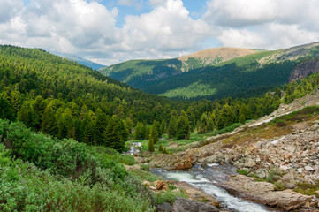 Fototapeta na wymiar Landscape view in respublic Altay
