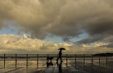 Hombre con paraguas y perro paseando por la ciudad