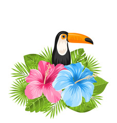 Beautiful Exotic Nature Background with Toucan Bird, Colorful Hibiscus Flowers  © -=MadDog=-