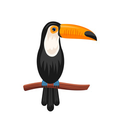 Funny Toucan Sitting on Branch, Exotic Bird Isolated  © -=MadDog=-