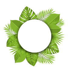 Fototapeta na wymiar Summer Beautiful Postcard with Green Tropical Leaves for Design